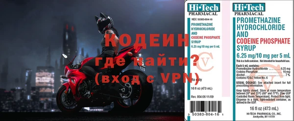 прущие грибы Гусиноозёрск