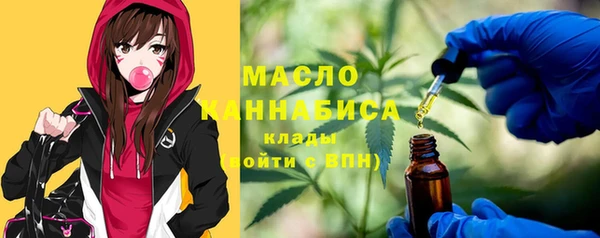соль ск Гусев