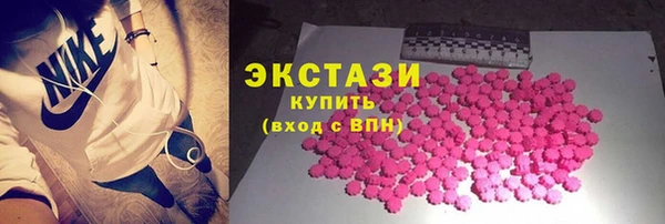 прущие грибы Гусиноозёрск
