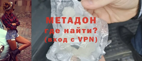 прущие грибы Гусиноозёрск