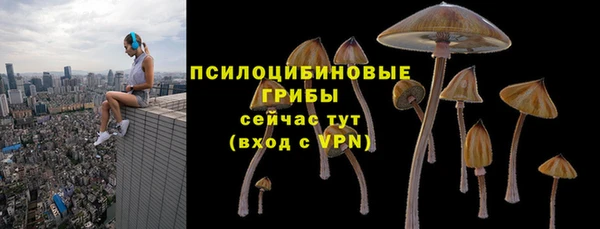 круглые Гусь-Хрустальный
