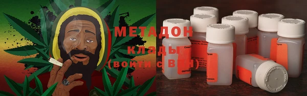 прущие грибы Гусиноозёрск