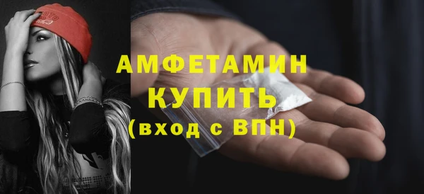 прущие грибы Гусиноозёрск
