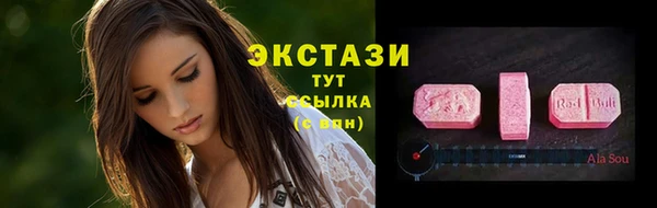 прущие грибы Гусиноозёрск