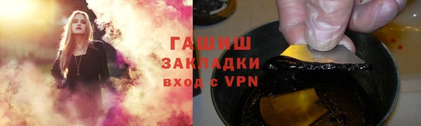 прущие грибы Гусиноозёрск