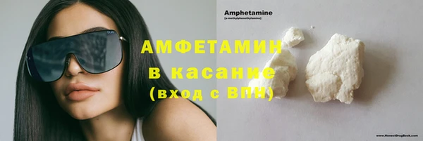 прущие грибы Гусиноозёрск
