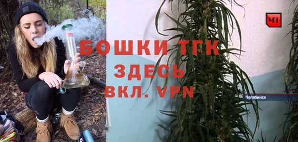прущие грибы Гусиноозёрск