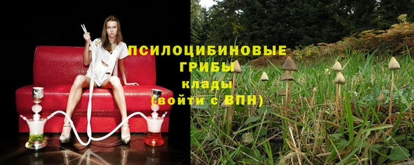 круглые Гусь-Хрустальный