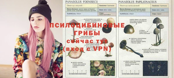 соль ск Гусев