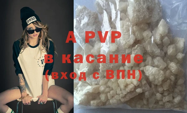 прущие грибы Гусиноозёрск