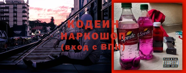 прущие грибы Гусиноозёрск