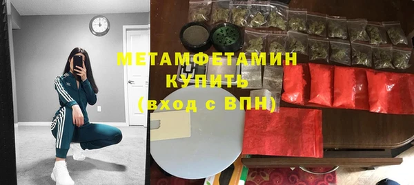 прущие грибы Гусиноозёрск