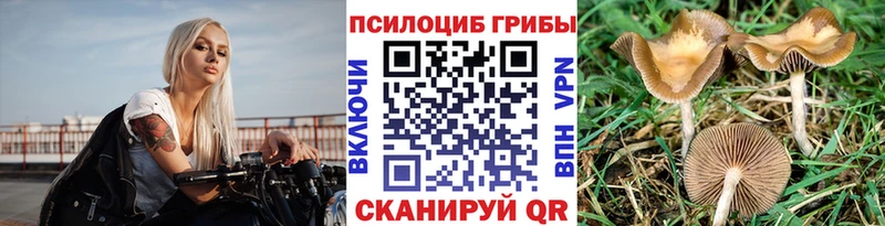 Псилоцибиновые грибы мицелий  Томск 